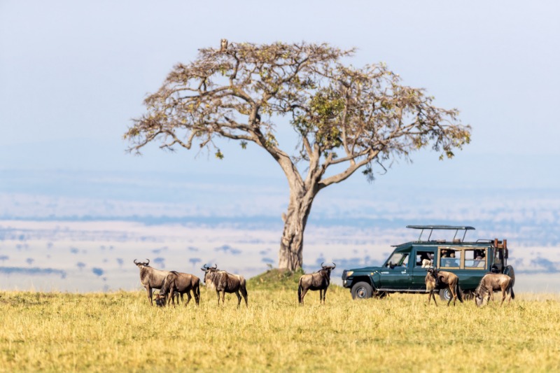 Tourists in Masai Mara, Kenya safari vehicle