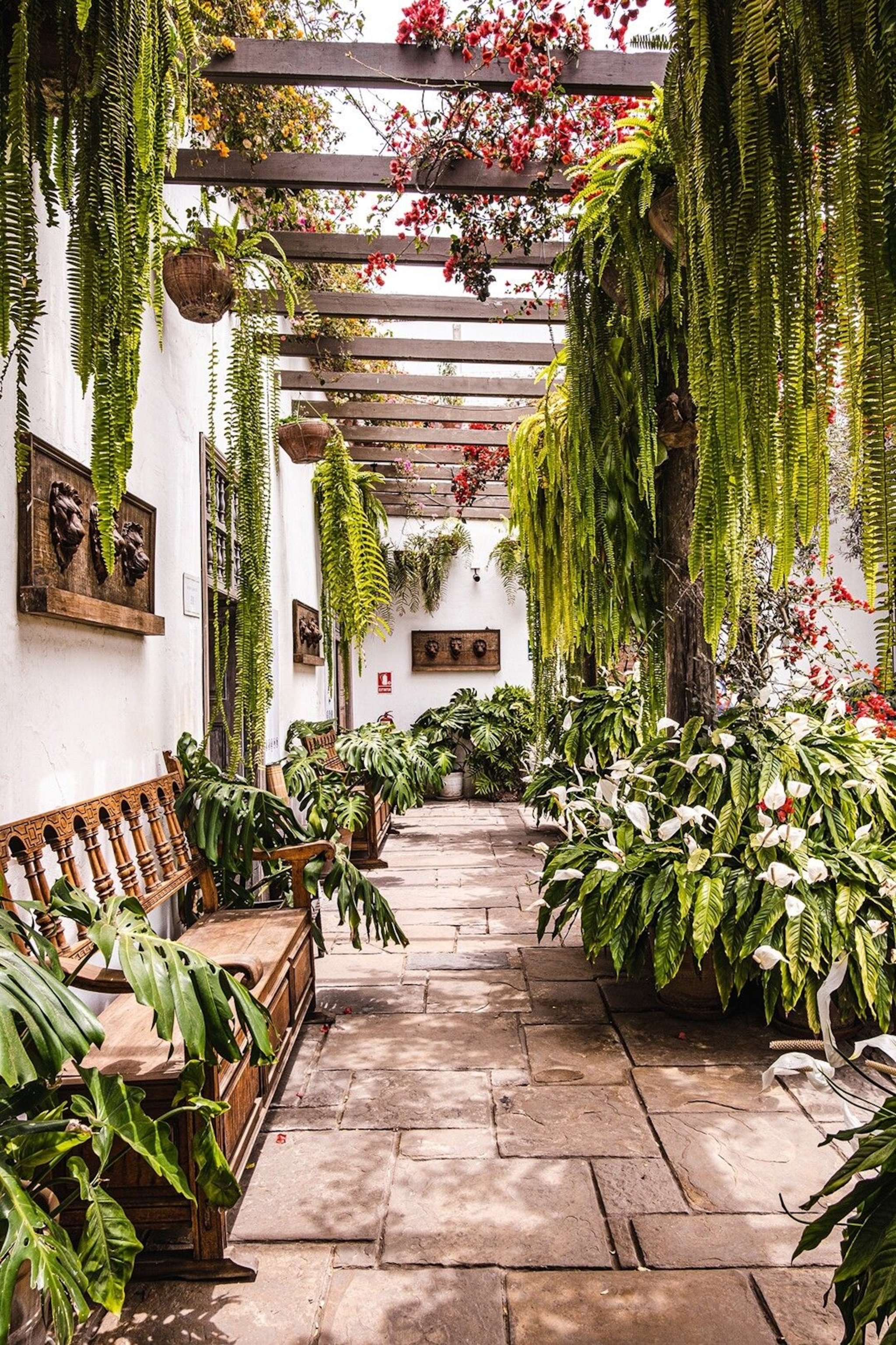 The garden at Museo Larco.