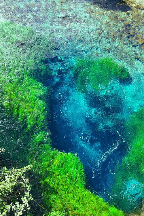 A larger view of the spring at Blue Eye where all the water comes from. The colors are bright blue and green.