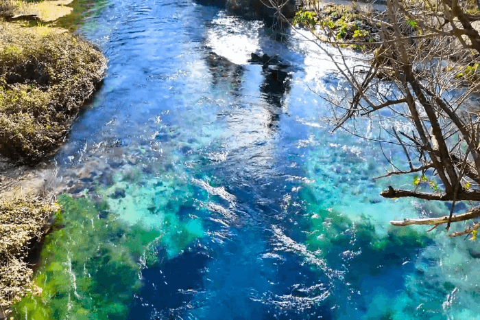 Shot of the spring at Blue Eye which fills from deep underground with crystal clear water.