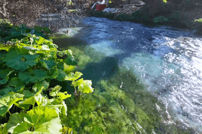 A close up of the river that runs out of the Blue Eye Spring in Albania