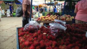 Central American Fruit and Vegetables | centralamerica.com