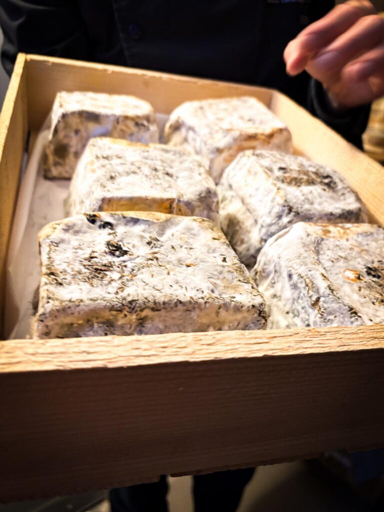 Close-up of rustic cheese wheels maturing in wooden box at Paroles de Fromagers, Paris.