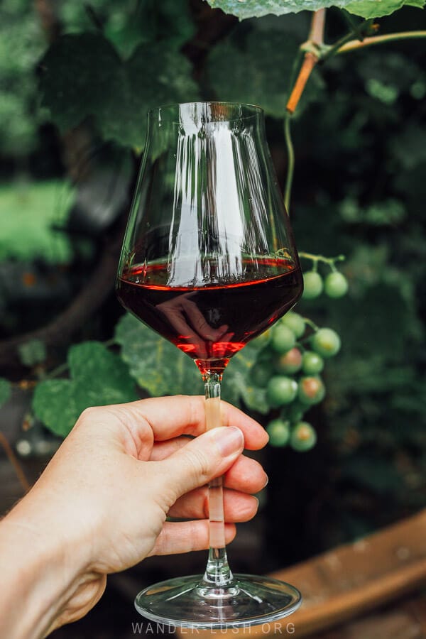 A glass of red wine in Georgia.