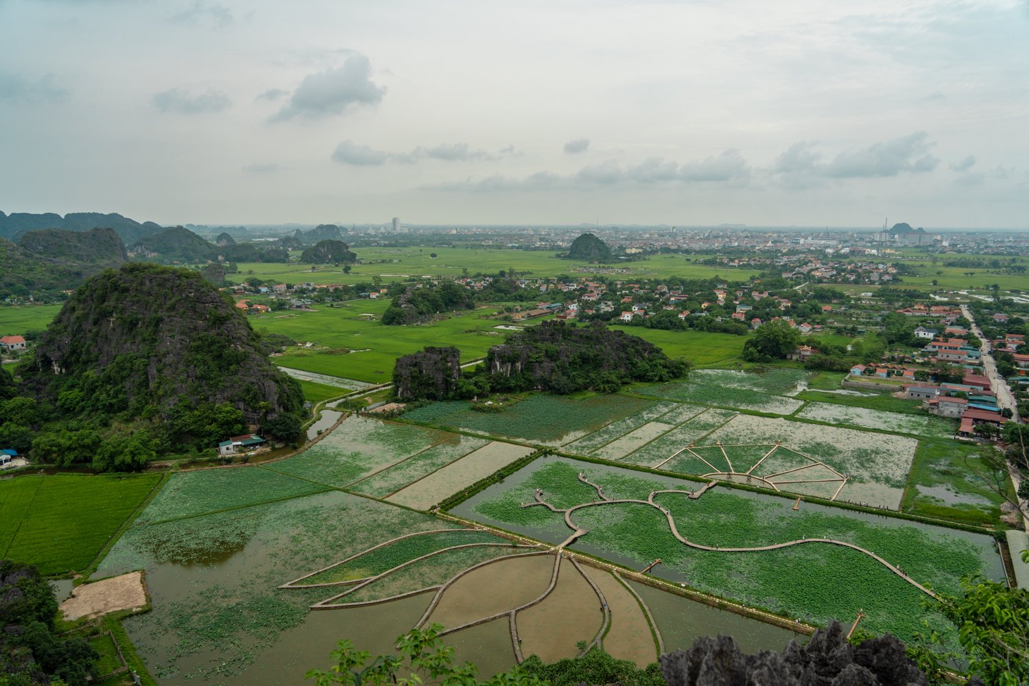 View of rice fields and Ninh Binh City from the Hang Mua Pagoda viewpoint.