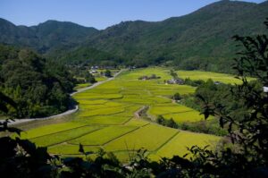 Slow travel in Japan offers a new perspective on seeing the country