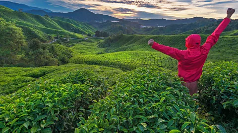 Getty Images From beaches to tea plantations, there's a lot to explore in Malaysia (Credit: Getty)