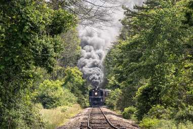 A Smoky Mountains Railway locomotive traveling through forest 