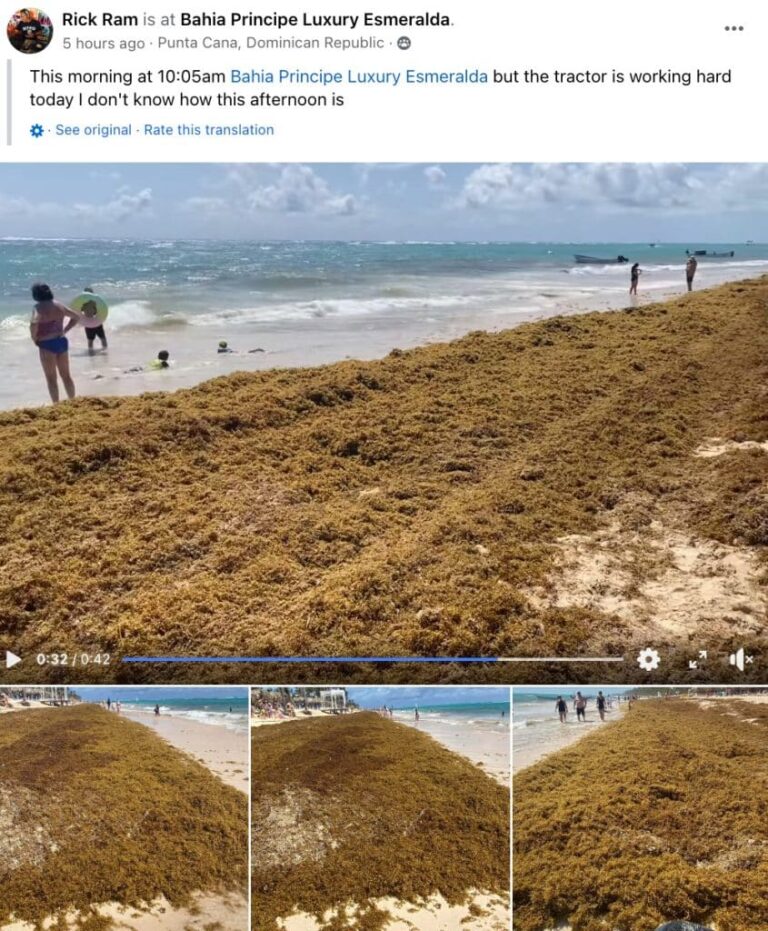 These 6 Caribbean Travel Hotspots To See Record Seaweed Invasion In Summer 2024