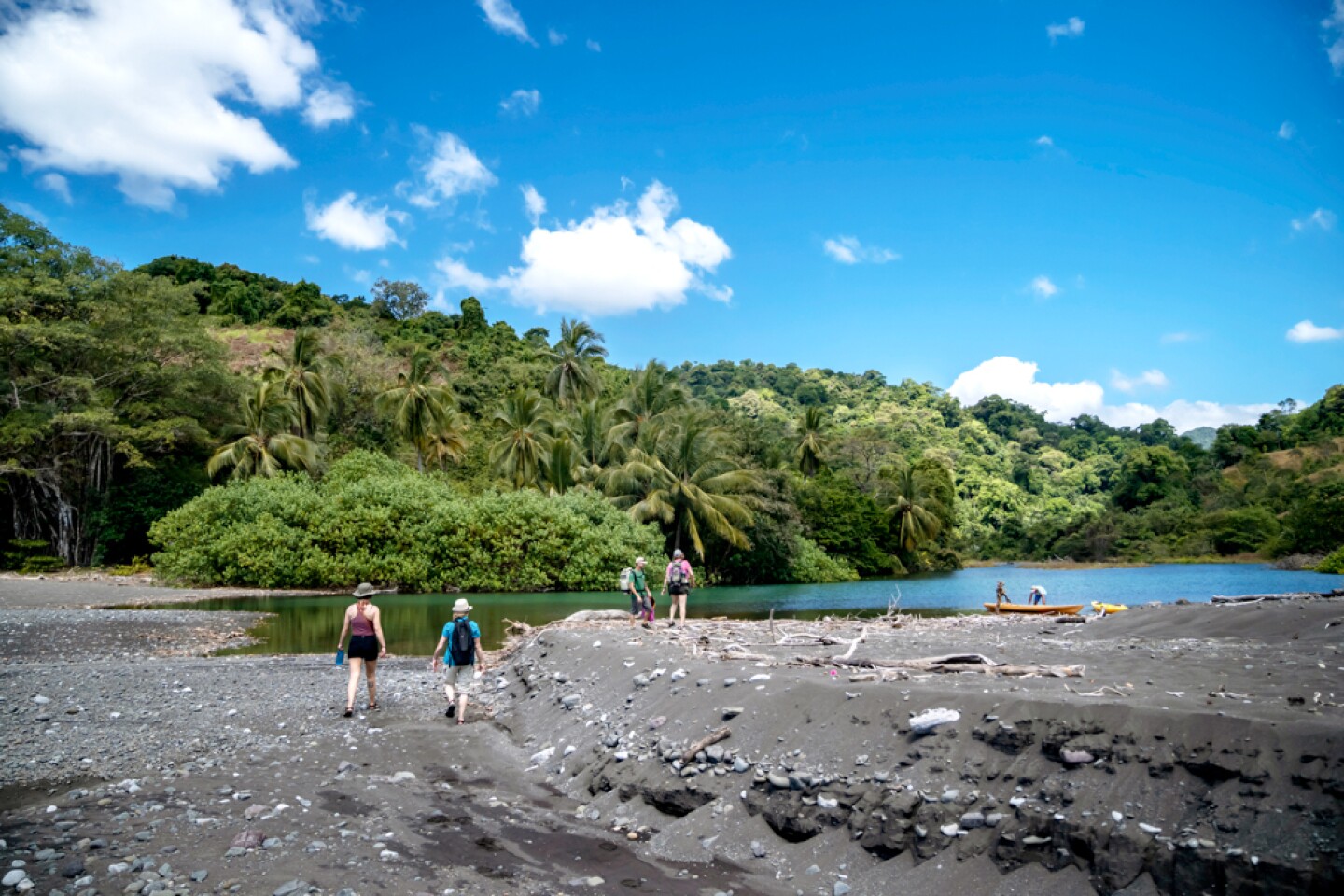 People walking on black sand near a body of water and dense forest.