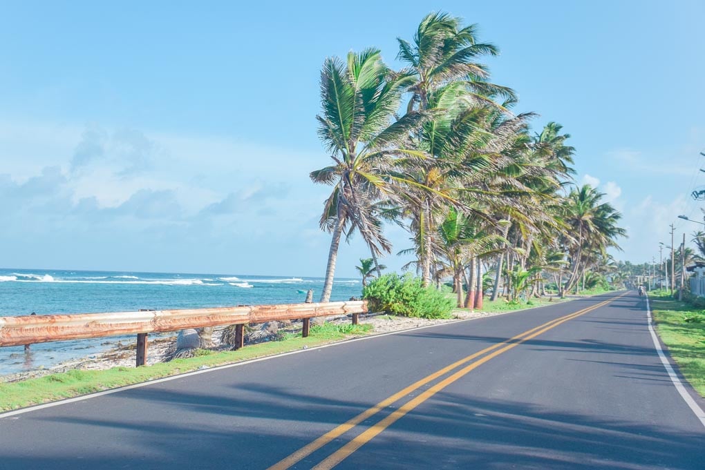 road and palm trees in san andres colombia