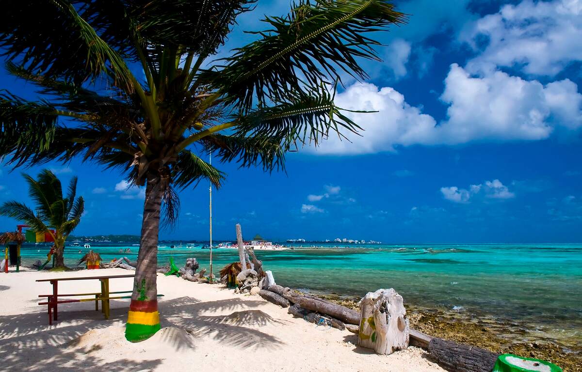 a rocky beach on San Andres Island with white sand and a palm tree