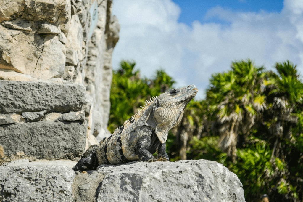 Tulum