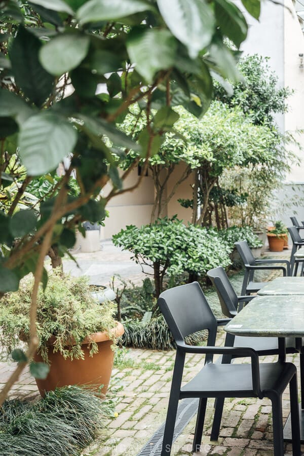 A leafy dining courtyard with black chairs and potted plants.