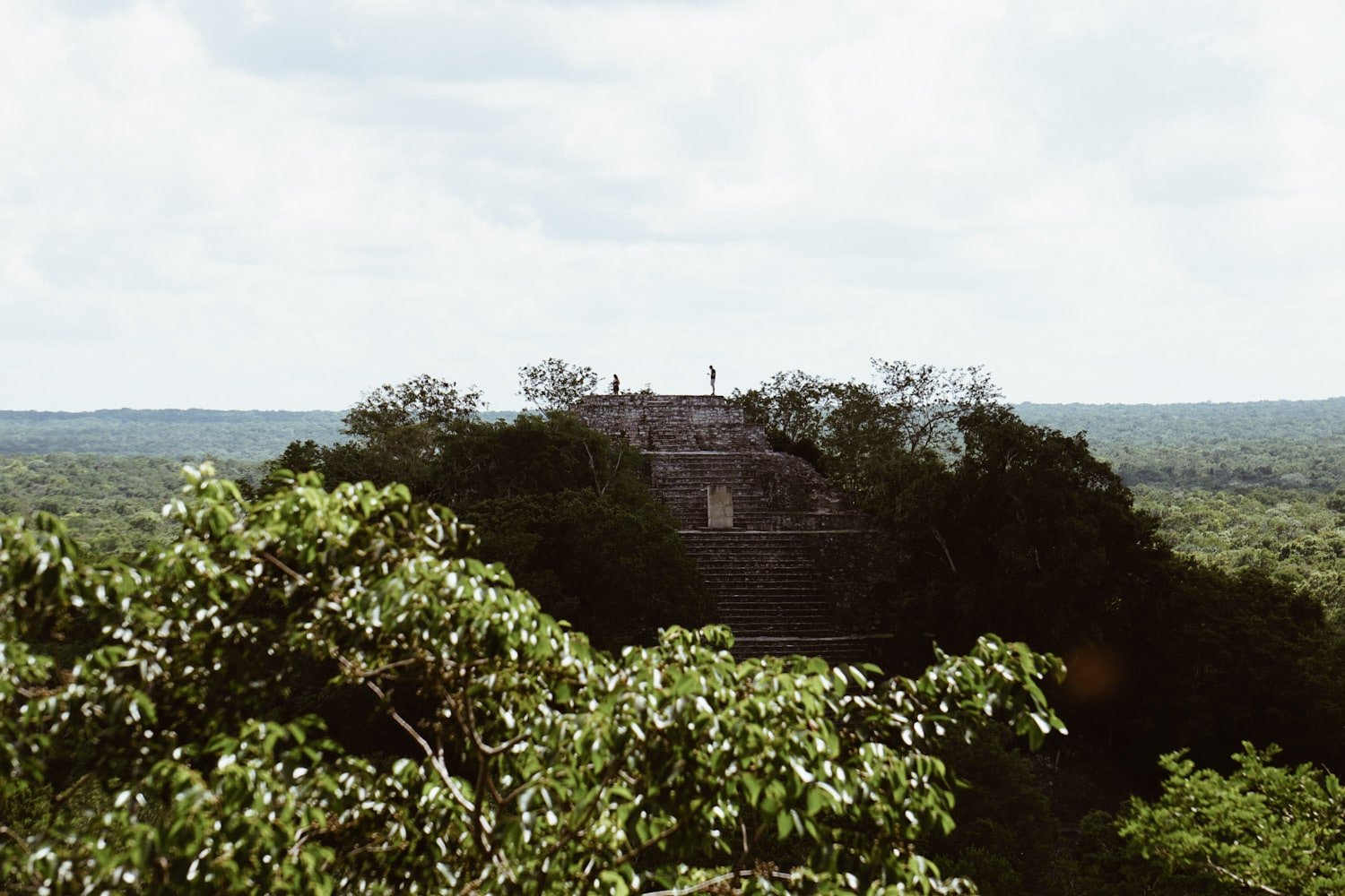 Calakmul Mayan Ruins: A Hidden Maya City Deep in the Jungle of Campeche, Mexico #calakmul #mexico #mexicotravel #mayanruins