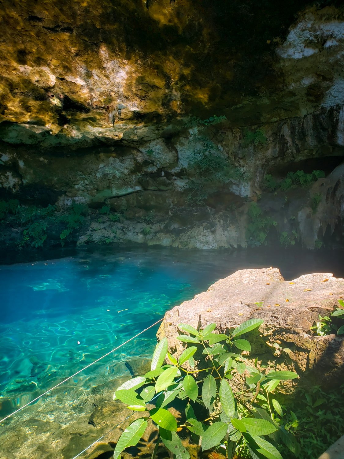 Jungly, semi-open cave cenote (Turquoise blue water of Cenote Yaxbacaltun in Yucatan, Mexico).