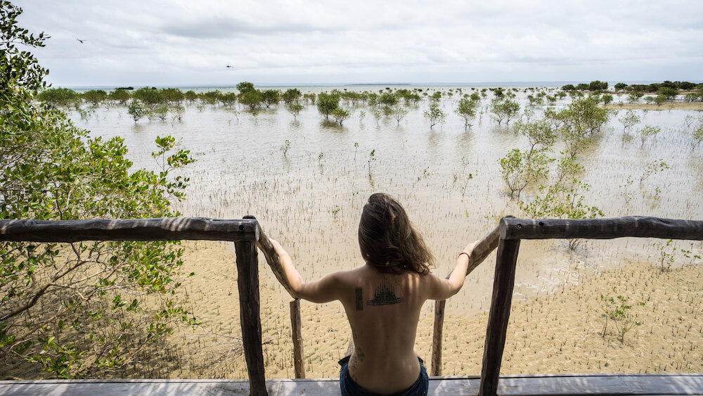 flamingo bay resort tofo