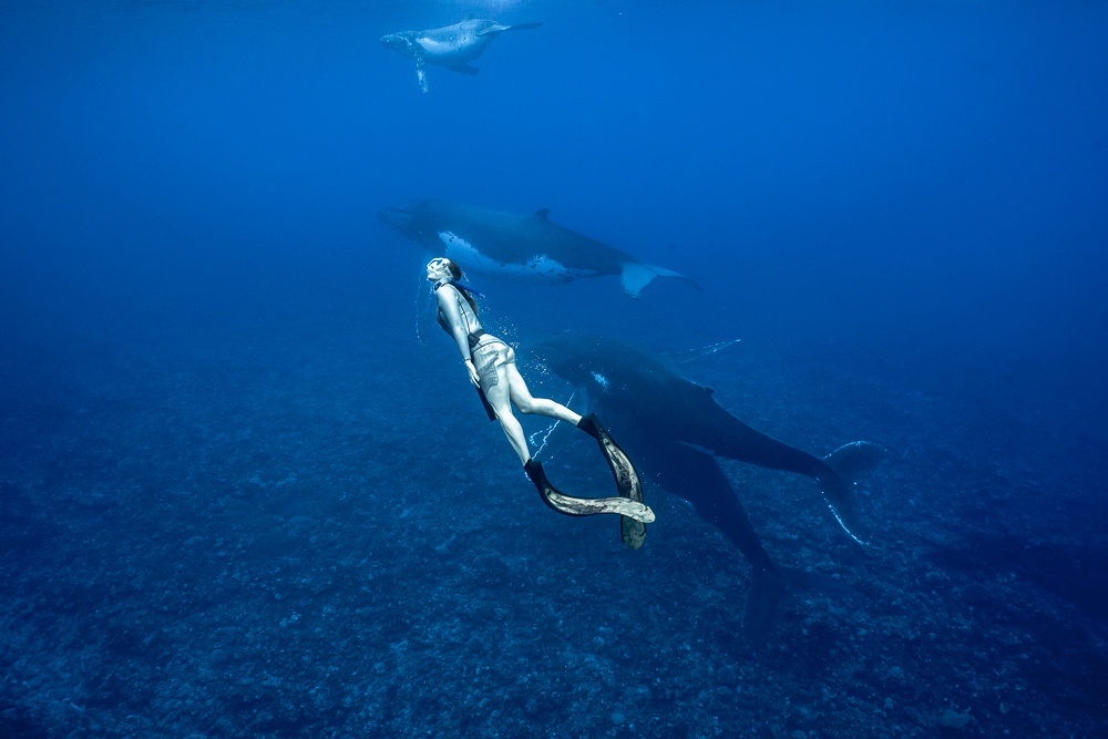 Swimming with whales in French Polynesia