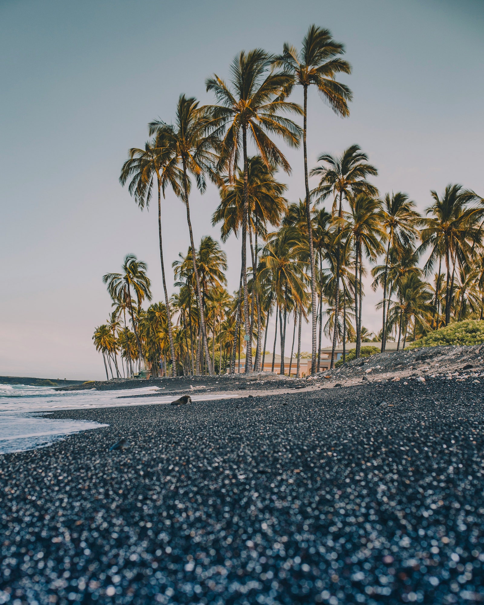 Image may contain Nature Outdoors Sky Horizon Beach Coast Sea Shoreline and Water