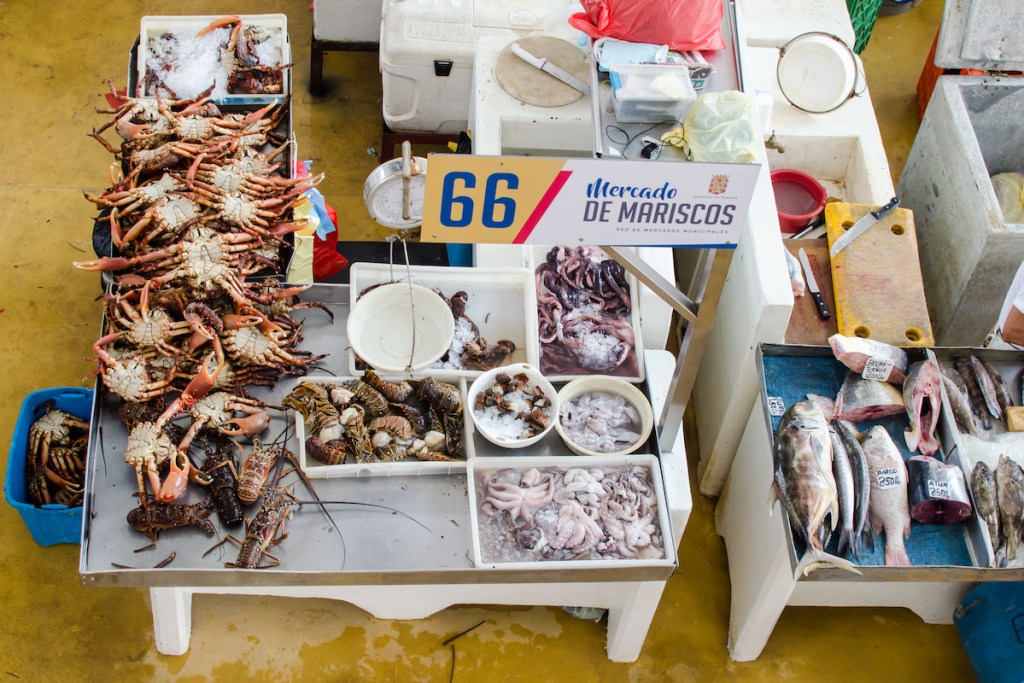 Fresh seafood market in Panama City, Panama