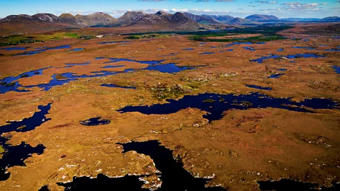 Chris Hill/Getty Images Peat covers roughly 20% of Ireland and has served as custodians of its history (Credit: Chris Hill/Getty Images)