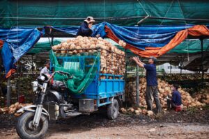 A slow journey through Vietnam's Mekong Delta and Con Dao islands