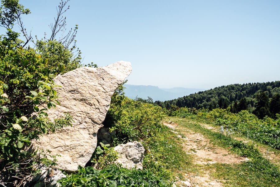 A limestone rock on the hiking trail to Khvamli Mountain in Lechkhumi, Georgia.