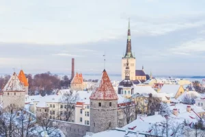 Estonia Digital Nomad Visa: How to Apply [4 Steps]