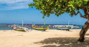 Foreign Office Indonesia travel warning issued over hotspots including Bali