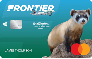 Frontier vs. Spirit: The Budget Airline Battle - NerdWallet