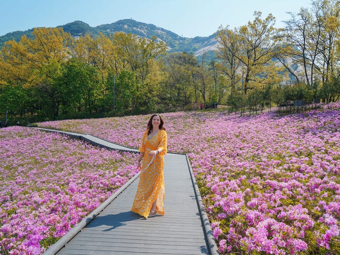 Bradley at a national park in South Korea.