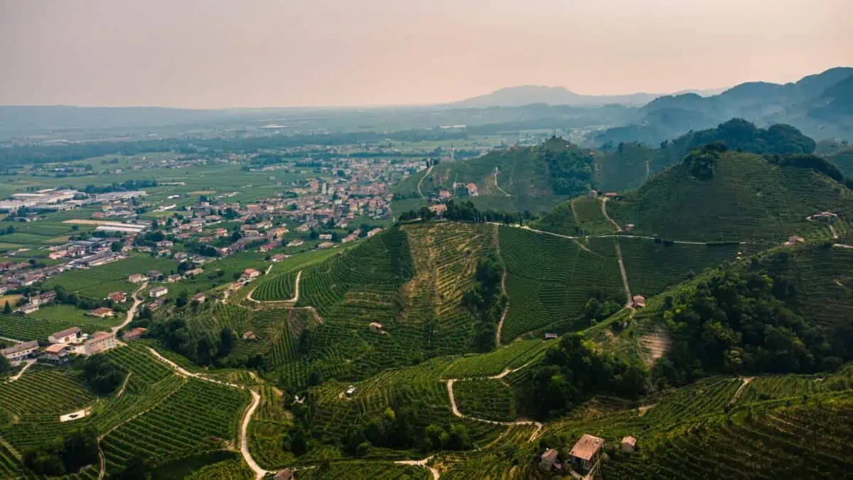 Conegliano Prosecco Hills