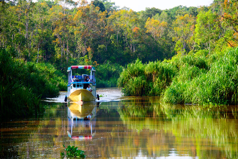 Tanjung Puting National Park