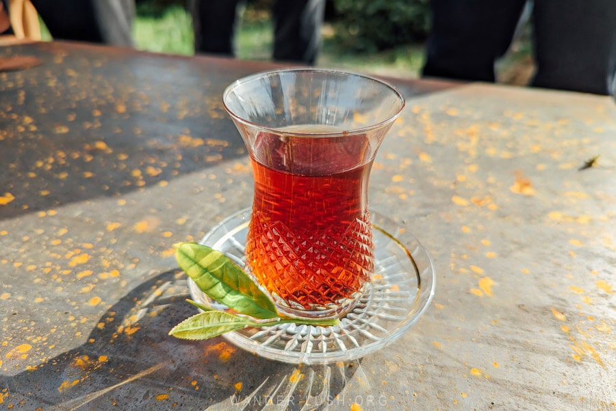 A glass of Azerbaijani tea on a table in a tea field in Lankaran.