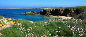 Slow travel ideas for families in Brittany