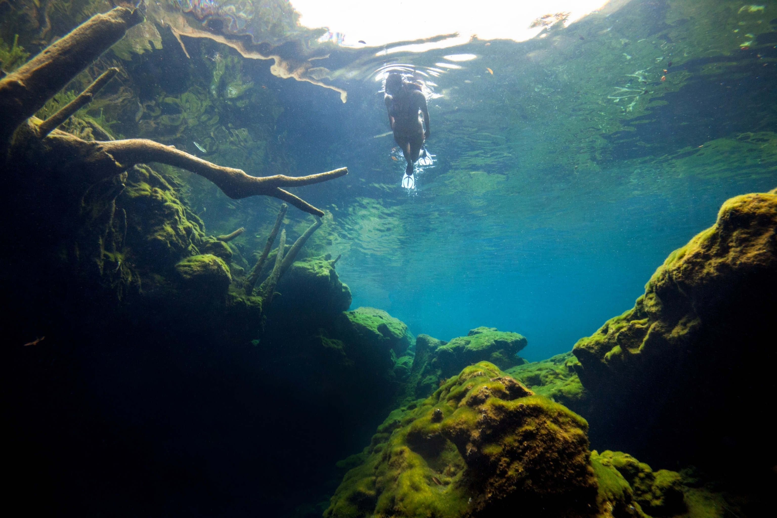 PHOTO: A woman snorkelling in El Eden cenote along the Mayan Riviera in Mexico.