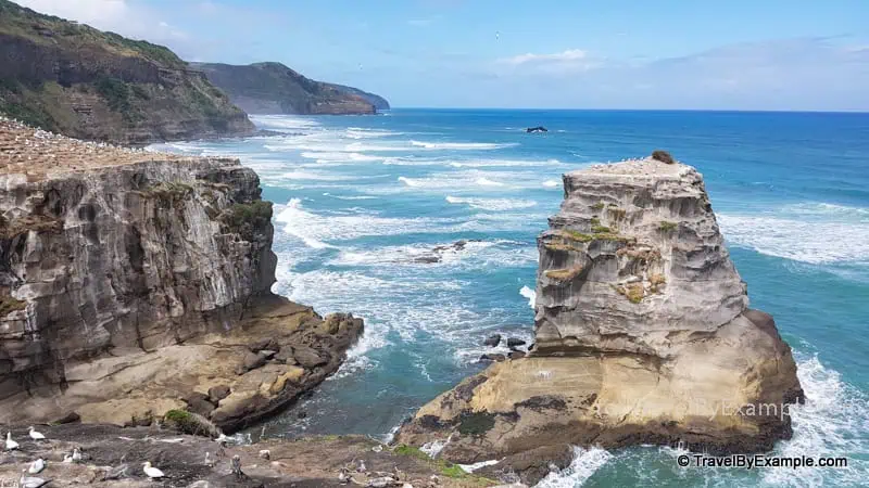 Ocean and cliff faces in New Zealand, photo by Elena from Travel by Example