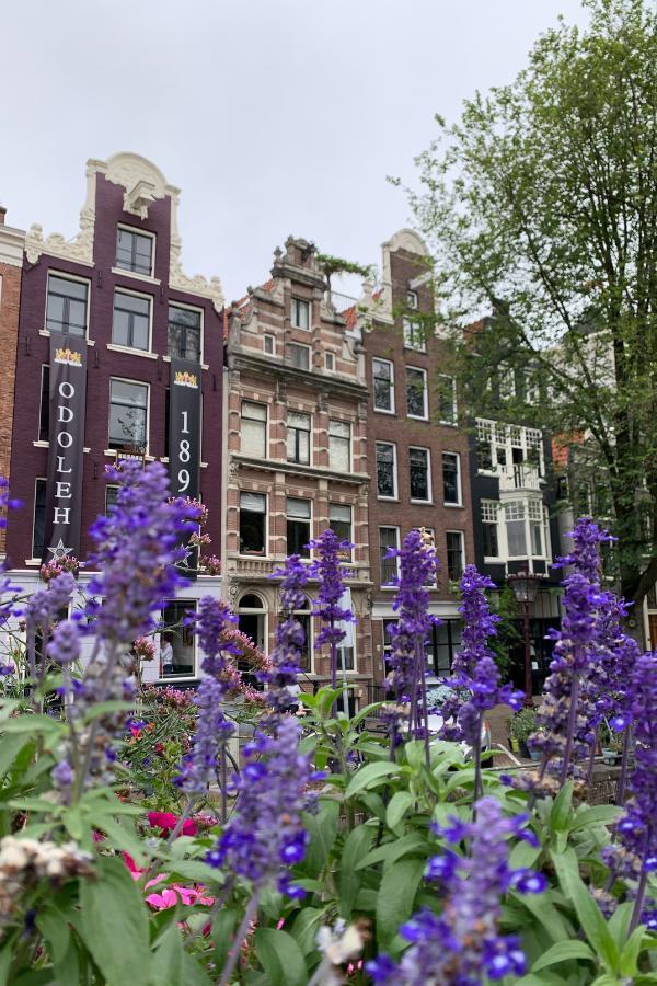 Amsterdam in September