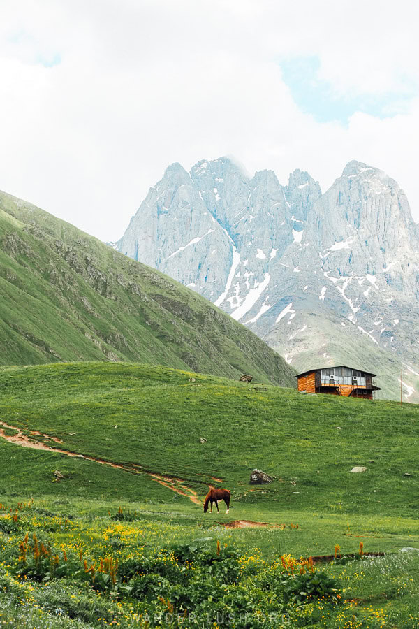 A horse grazing on a pasture in front of a cabin in the Juta Valley.