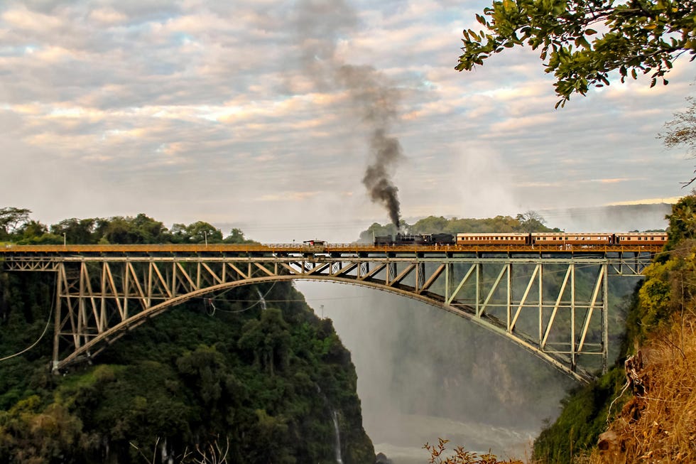 royal livingstone train