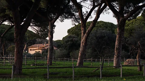 Katie McKnoulty There are 32 agriturismi in the park, including Tenuta San Carlo (Credit: Katie McKnoulty)