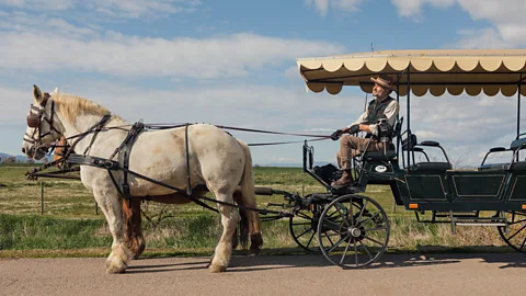 Katie McKnoulty Carrozze di Maremma's horse-drawn carriage tours take travellers into the furthest depths of the park (Credit: Katie McKnoulty)