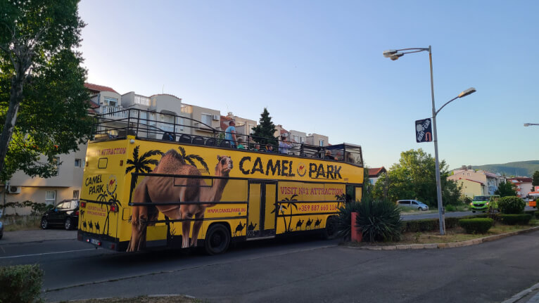 Mustard colored double decker bus advertises the camel park in Sunny Beach Bulgaria.