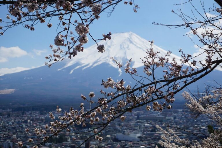 Japan's Mount Fuji Caps Visitors and Adds Fees on Overcrowded Trail to Summit