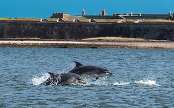 Boat trips Scotland Slow travel grey guide authentic travel experiences for over 60s summer 2022