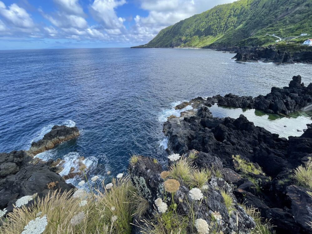 A tide pool along the coast of São Jorge Island in the Azores, Portugal. 