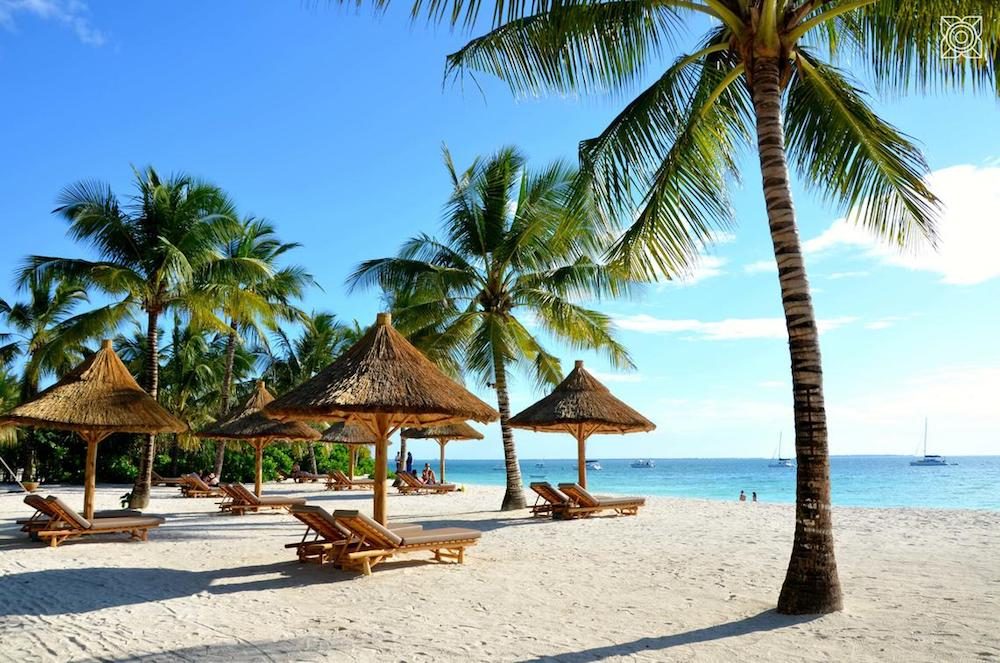 beach with chaises and palapas on Zanzibar island