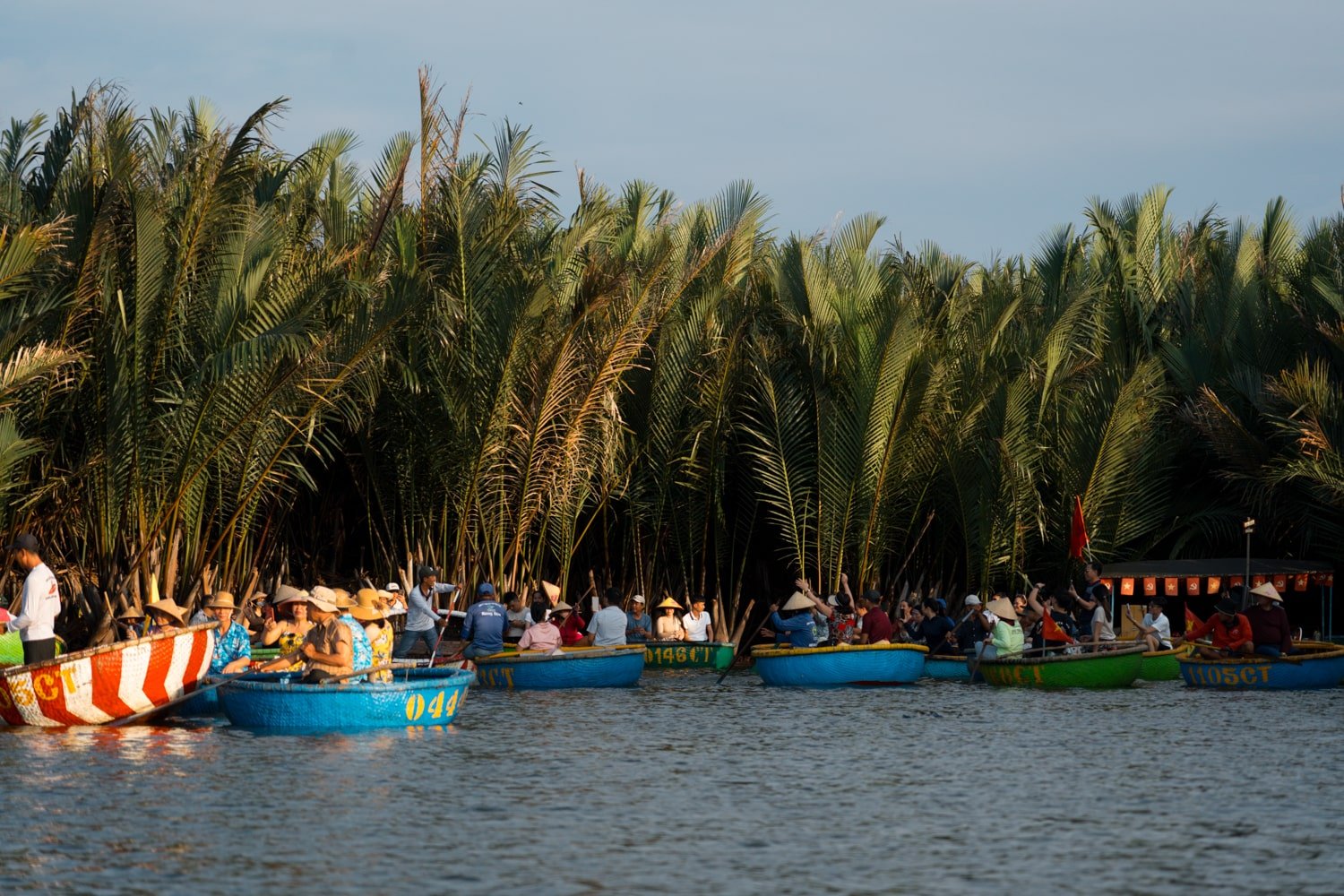 Bay Mau coconut forest and crowds of tourists in basket boats.