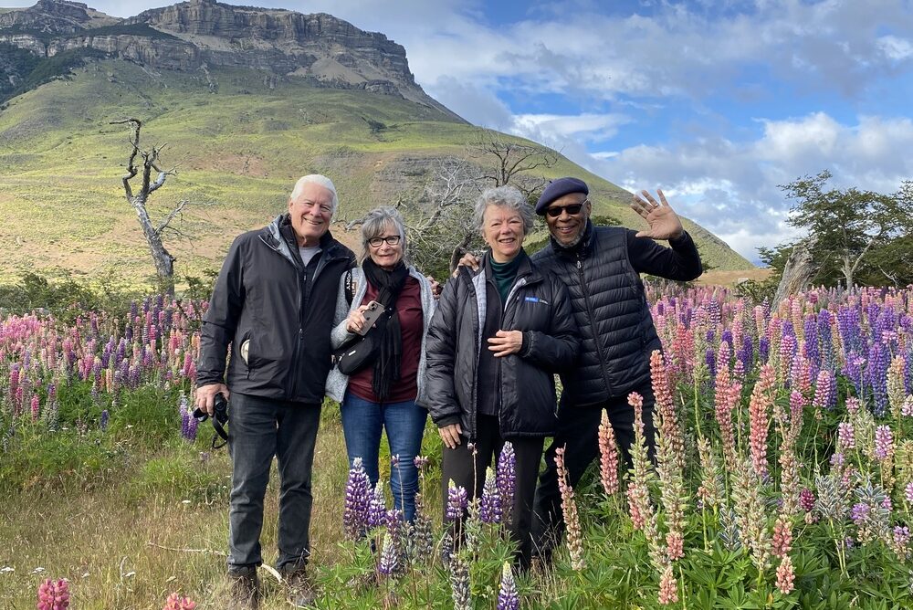 Travelers on a field of lupine during a birdwatching excursion in Chilean Patagonia.