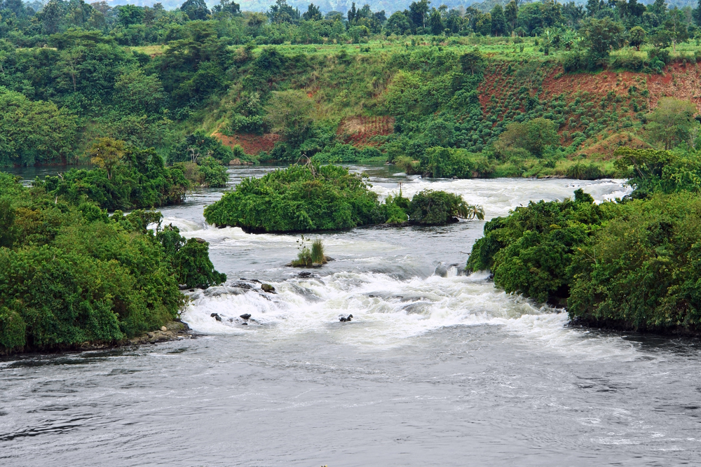 Waterside scenery showing the River Nile with lots of greenery on the sides.